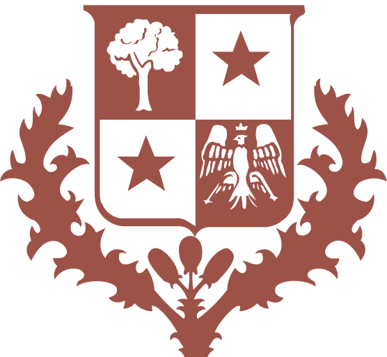 Week End Walk Sneaker